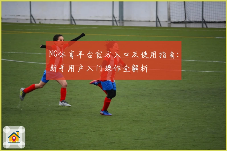 NG体育平台官方入口及使用指南：新手用户入门操作全解析