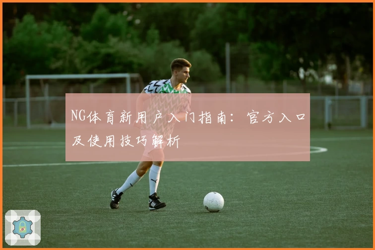NG体育新用户入门指南：官方入口及使用技巧解析