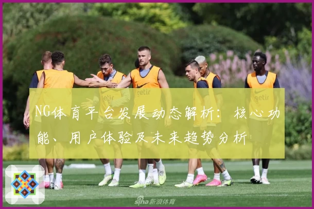 NG体育平台发展动态解析：核心功能、用户体验及未来趋势分析