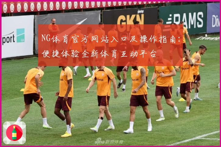 NG体育官方网站入口及操作指南：便捷体验全新体育互动平台